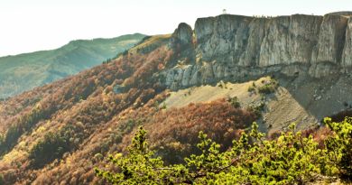Экскурсии в `Крымский природный заповедник` из Феодосии