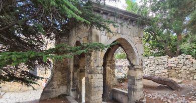 Пешеходная экскурcия из Феодосии (фото 15)