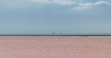Экскурсия из Феодосии: Розовое Кояшское озеро. Мыс Опук. фото 12593