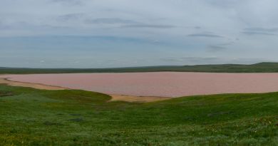 Экскурсия из Феодосии: Розовое Кояшское озеро. Мыс Опук. фото 12417