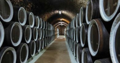 Экскурсия из Феодосии: Царство виноградной лозы фото 12559