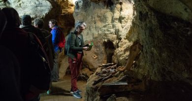 Экскурсии в Пещеру Таврида из Феодосии 2024