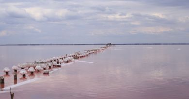 Экскурсии в Озеро Сасык-Сиваш (розовое озеро) из Феодосии 2024