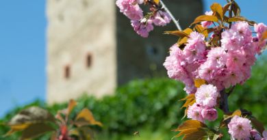 Пешеходная экскурcия из Феодосии (фото 2)
