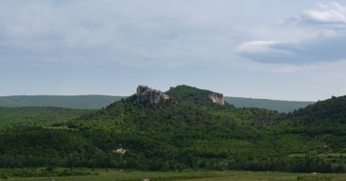 Экскурсия из Феодосии: Селфи-тур «Лаванда» фото 12935